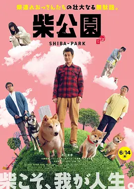 免费看一及片